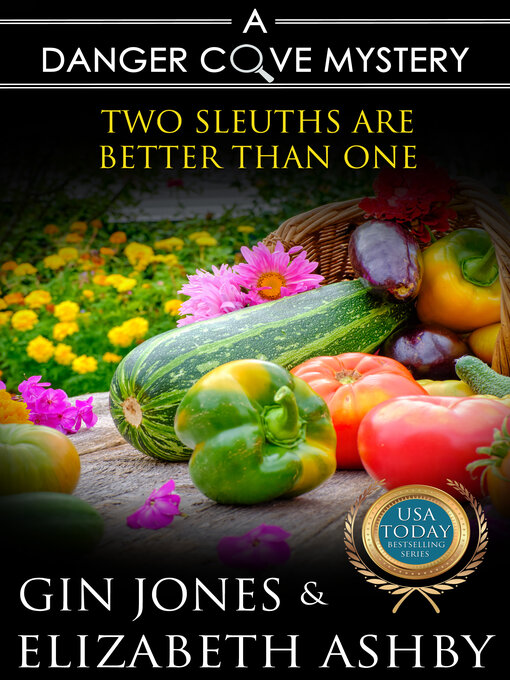Title details for Two Sleuths are Better Than One by Elizabeth Ashby - Available